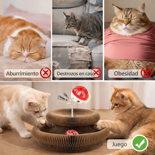 Juguete Mágico para Gatos😻 (DESCUENTO)
