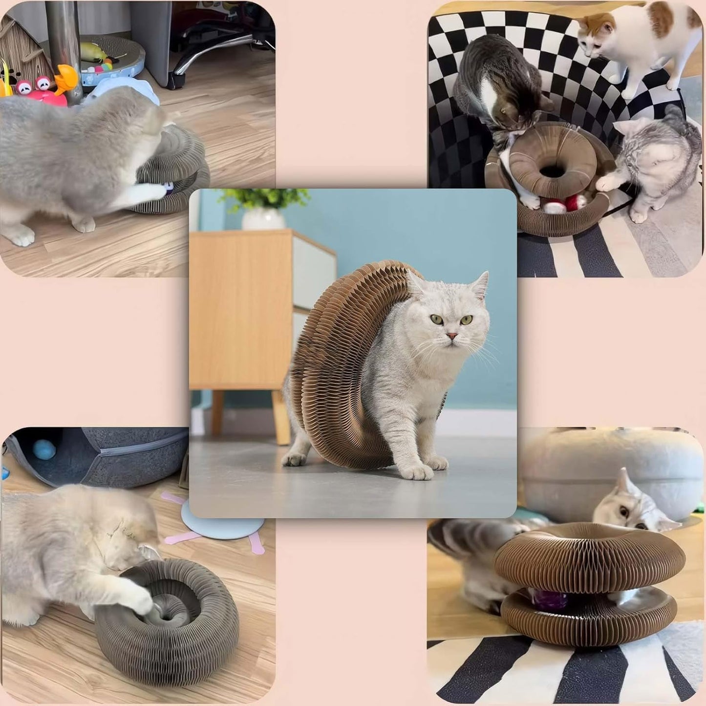 Juguete Mágico para Gatos😻 (DESCUENTO)