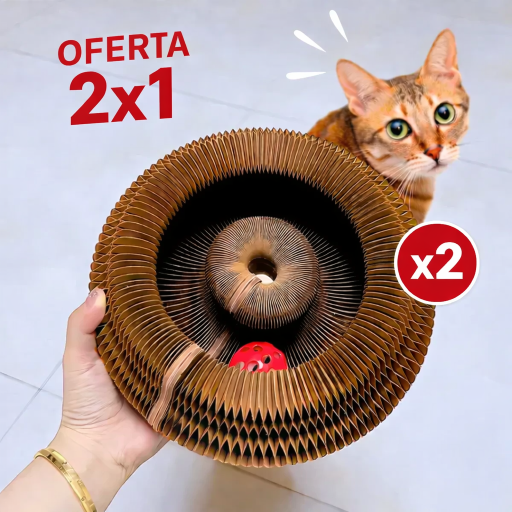 Juguete Mágico para Gatos😻 (DESCUENTO)