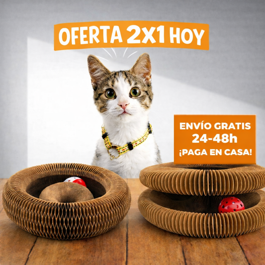 Juguete Mágico para Gatos😻 (DESCUENTO)