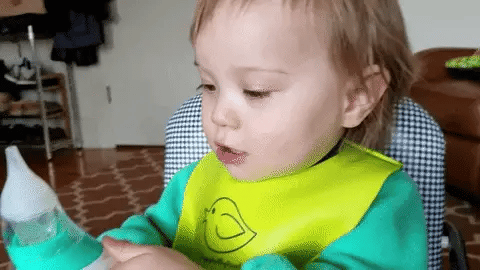 giphy_9_480x480.webp